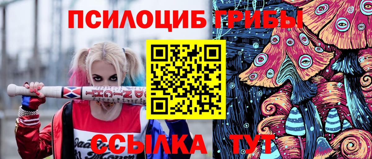 Псилоцибиновые грибы Cubensis  Псилоцибиновые грибы Psilocybine cubensis  Кизляр 