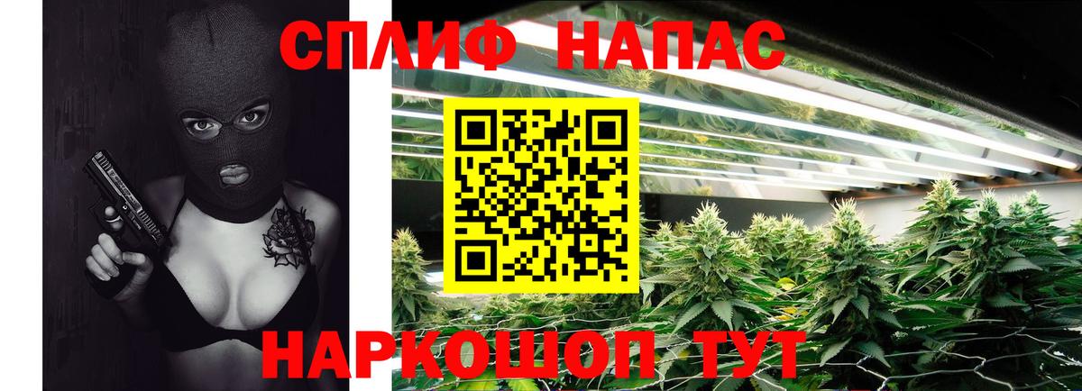 Марихуана Bruce Banner  Канабис THC 21%  Бошки марихуана планчик  Кизляр 